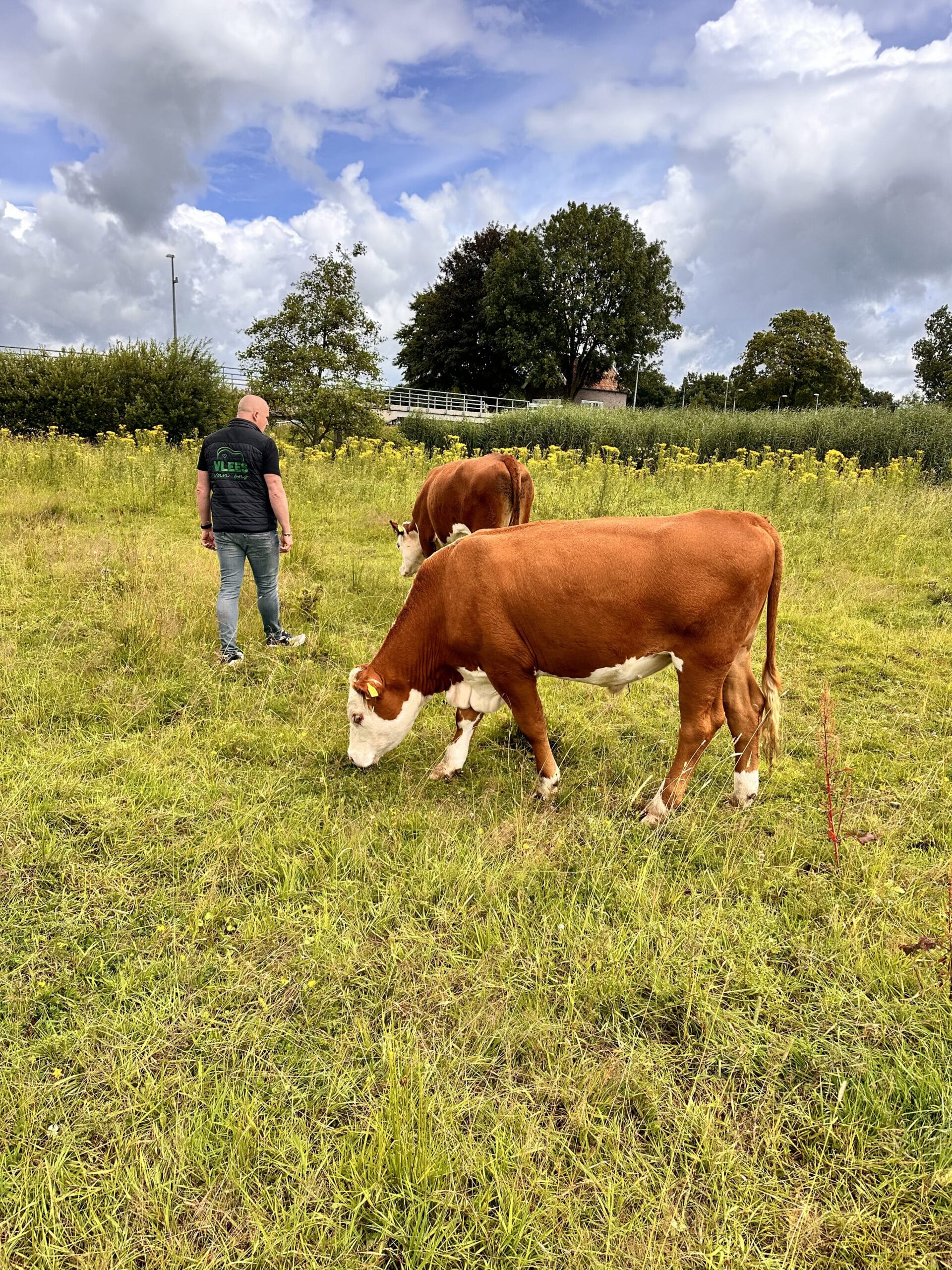 Wat maakt grasgevoerd vlees zo speciaal?